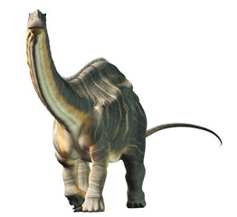 Aufkleber - Apatosaurus was a sauropod dinosaur. A herbivore, it lived in during the Late Jurassic Period in what is now North America. On a white background. 3D Rendering