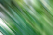 © Janthana - Beautiful blurred abstract green color background with stripes.