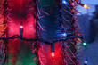 Colored Christmas Lights on Cactus at Night