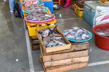 Busan City, South Korea - OCT 31, 2019: Jagalchi Fish Market In Busan, South Korea.