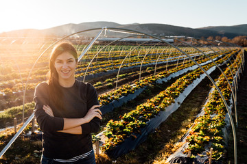 Woman farmer agronomist inspecting strawberry crops growing in the fruit farm field.Nature lover.Sustainable ecological grow.Examining young crops,quality monitoring.Agriculture food industry concept