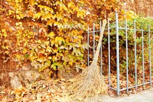 Broom On Railing By Plant In Garden During Autumn