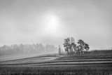 Fototapeta Na sufit - misty morning  black and white