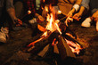 © Drobot Dean - Group of friends holding marshmallow in fire outdoors.