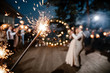 © dron285 - Sparkler in hands on a wedding - bride, groom and guests holding lights
