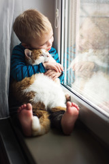 little boy with cat is sitting on the window and looking throgh the window in rainy day 