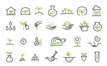 Set Of Growing Seedlings Icons. Plant Shoots. Agriculture Technology. Vector Line Hand-drawn Sketch.