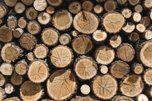 Timber Patterned Background