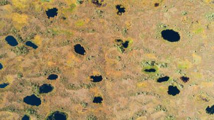 Wall Mural - Aerial view of swamp with ponds around. Natural landscape background. Abstract textured surface. Torronsuo National park, Finland.
