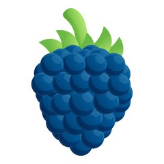 Poster - Raw blackberry icon. Cartoon of raw blackberry vector icon for web design isolated on white background