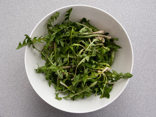 fresh green dandelion salad in a white bowl