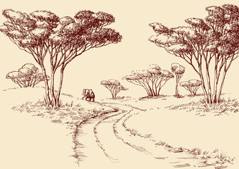 african landscape hand drawing. a road in the savanna and an elephant at the horizon