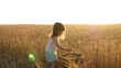 small kid is playing grain in a sack in a wheat field. farming concept. child with wheat in hand. baby holds the grain on the palm. little son, the farmer's daughter, is playing in the field.