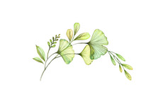 Watercolor Floral Arch. Green Branches And Leaves. Round Design Element. Transparent Detailed Foliage Isolated On White. Realistic Botanical Illustration For Cards, Wedding Design