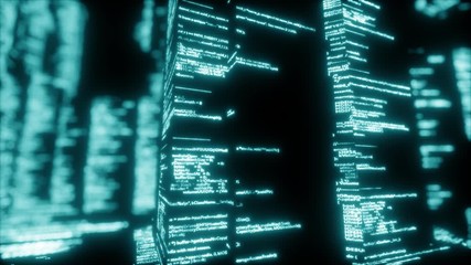 Programmer Binary Codes