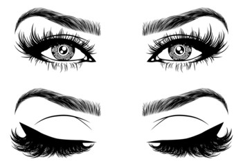 Wall Mural - Illustration with woman's eyes, eyelashes and eyebrows. Realistic sexy makeup look. Tattoo design. Logo for brow bar or lash salon.