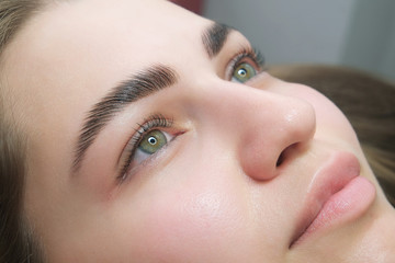 Sable style eyebrows concept. Close up portrait of young sensual model with clean skin, professional make up and beautiful green eyes, laminated eyelashes, tropical background with fern leaves.