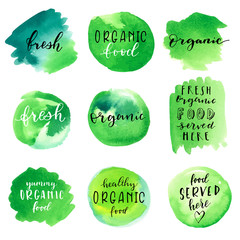 Fresh organic food labels on green watercolor backgrounds. Modern calligraphy, hand lettering. Handmade artistic product. EPS10 vector illustration