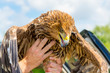 Eastern imperial eagle in hand in a wildlife rescue center