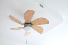 Electric Ceiling Fan With Lamp