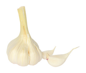 beautiful garlic without background for your design or menu