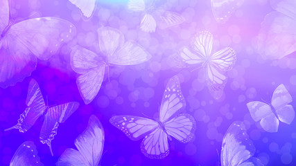 Poster - Beautiful gradient background with butterflies and highlights