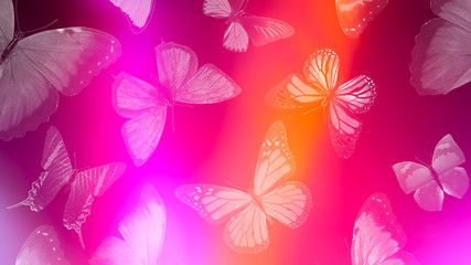 Poster - Beautiful gradient background with butterflies and highlights