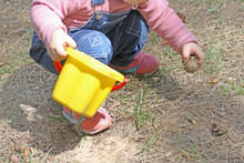 An Image Of A Child Squatting And Collecting Pine Cones.