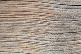 Fototapeta Dmuchawce - textura madera macro
wood texture