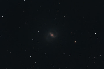 Wall Mural - The barred spiral galaxy Messier 91 in the constellation Coma Berenices photographed with a Maksutov telescope from Mannheim in Germany.