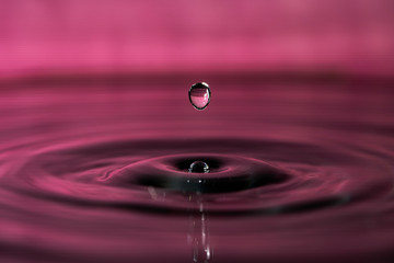 Wall Mural - Drop of water splashing macro with ripples