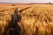 © Bits and Splits - Agronomist farmer is inspecting ripening ears of wheat in field