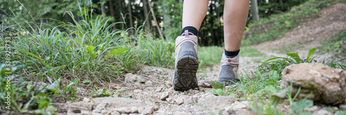 Fotomural Female legs in hiking boots on forest trail