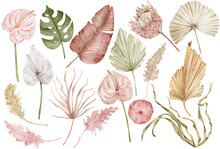 Watercolor Tropical Clipart With Palm Leaves, Protea And Anthurium Flowers, Dried Grass. Exotic Set