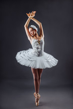 Ballerina Dancing In White Dress. Color Photo. Graceful Ballet Dancer Or Classic Ballerina Dancing Isolated On Grey Studio Background. Ballerina On Point Shoes Feet Tutu From Lake Swan