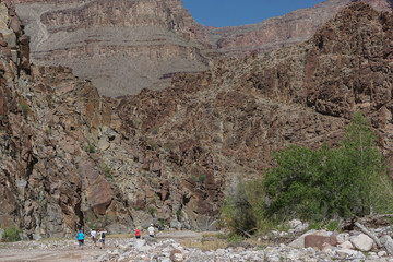 Wall Mural - Peach Springs, Arizona: Travelers walk along the winding Diamond Creek Road through Peach Springs Canyon, on their way to the Colorado River.