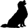 Vector silhouette of a golden retriever dog sitting