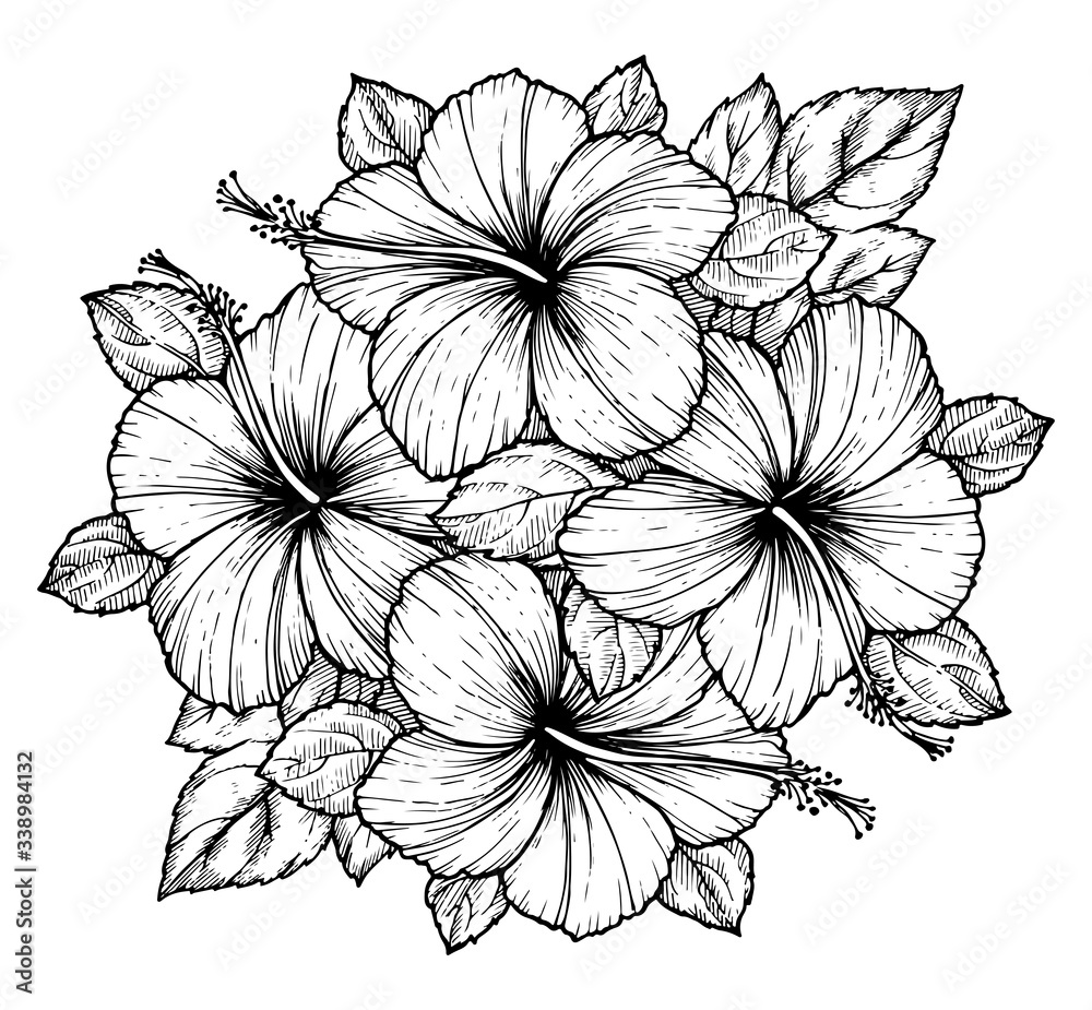 Hand drawn tropical hibiscus flower bouquet with leaves. Sketch florals ...