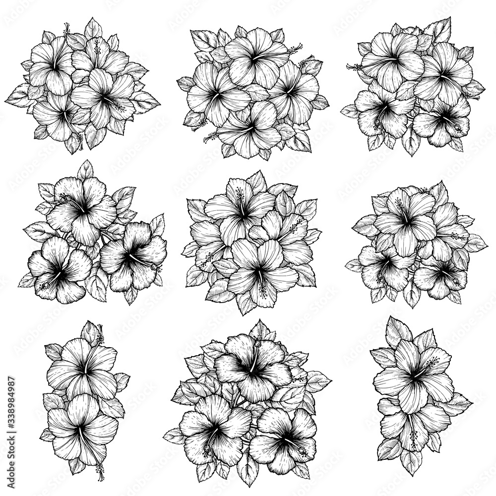 Hand drawn tropical hibiscus flower bouquet with leaves. Sketch florals ...