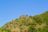 Fototapeta Paryż - Mountain landscape with trees slope, old fortress