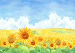 © Keiko Takamatsu - 青空と積乱雲のひまわり畑の風景、水彩イラスト