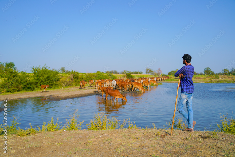 young indian farmer with his cattle Stock Photo | Adobe Stock