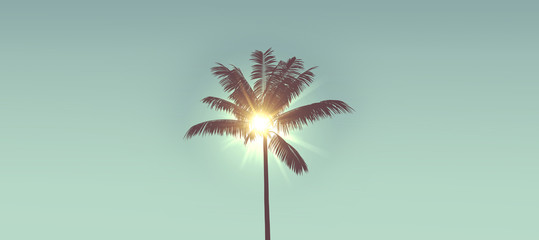 tropical palm tree silhouette against bright sunlight. 3d rendering