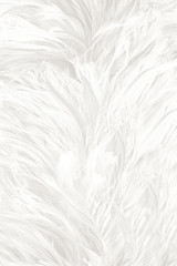 Beautiful white feather wooly pattern texture background