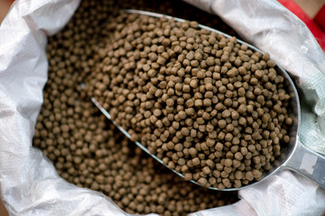 Small, light brown granule with a high nutritional value: milk powder and agricultural grains for piglets, fish.