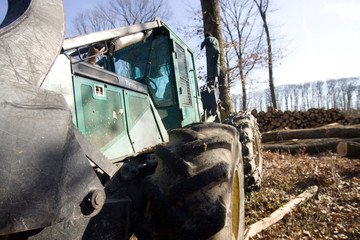 Wall Mural - Travaux forestier, débardage et bucheronnage