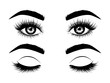 Fashion illustration. Black and white hand-drawn image of beautiful open and closed eyes with eyebrows and long eyelashes. Vector EPS 10.