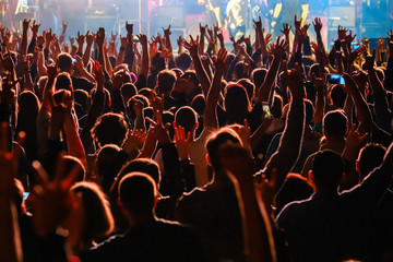 Fans at live rock music concert cheering