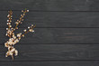 Blossom spring cherry flowers on dark wooden background. Place for text