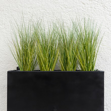 Black Planter With Grasses Against A White Background
